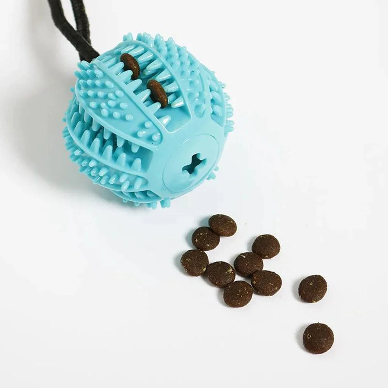 Bola PetFesta