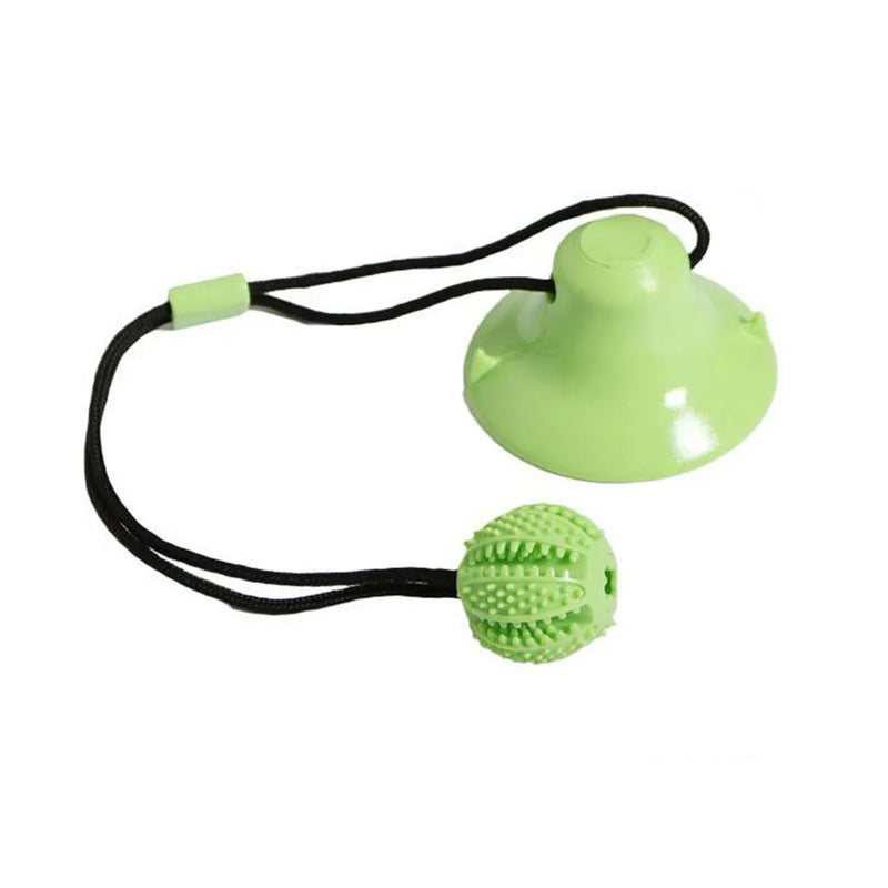 Bola PetFesta