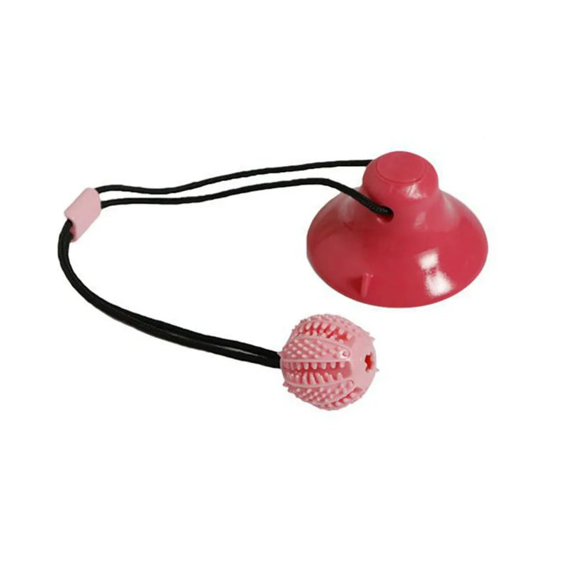 Bola PetFesta